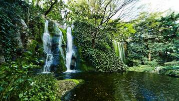 A waterfall cascading into a pond surrounded by lush greenery.