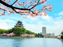 Eine traditionelle japanische Burg an einem ruhigen Fluss, umgeben von Kirschblüten und modernen Gebäuden im Hintergrund.