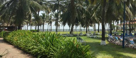A pathway lined with lush green plants, palm trees, and a row of sun loungers facing a beach.