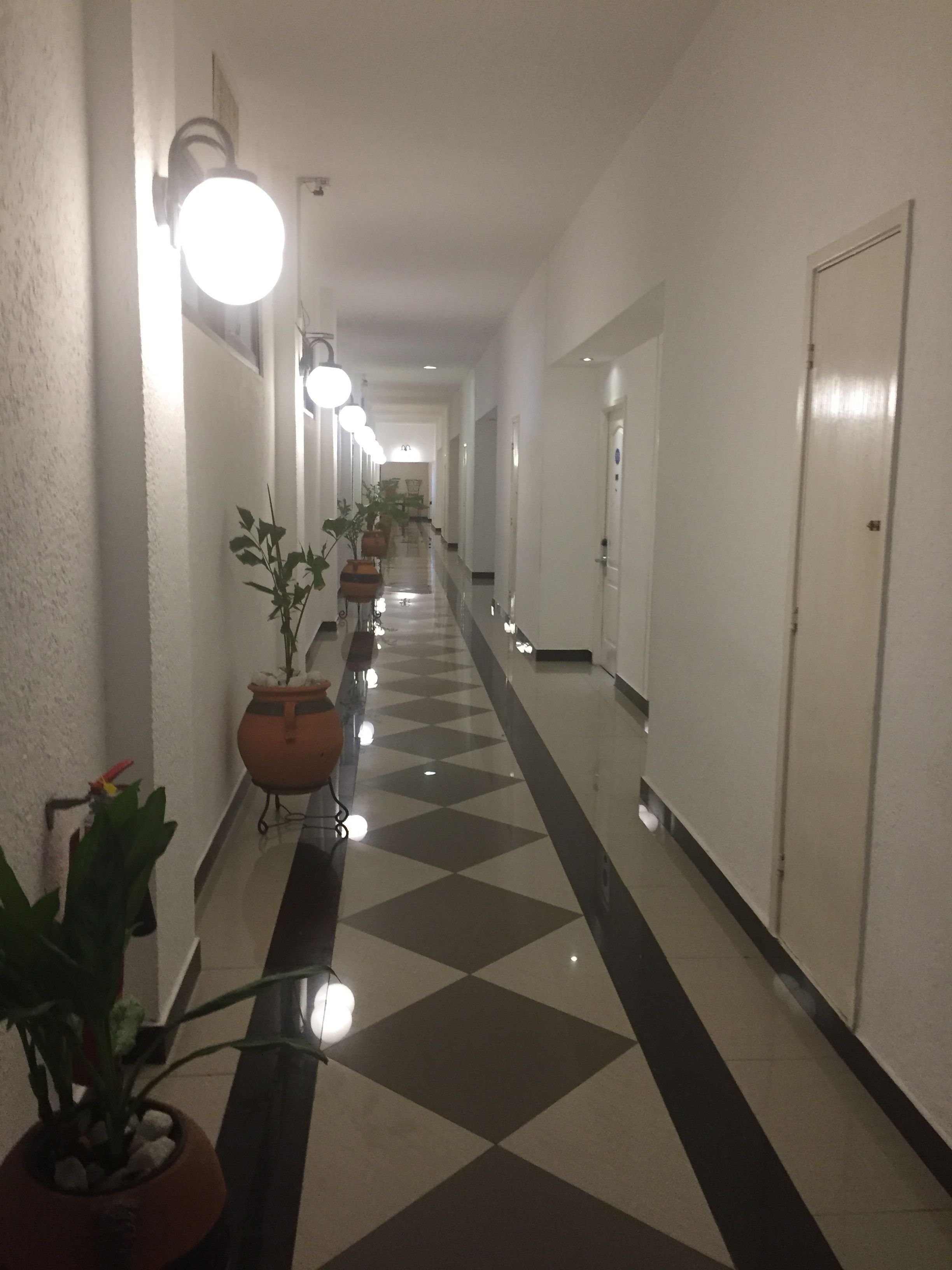 A hotel corridor with a checkered floor, potted plants, and doors on both sides.