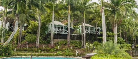 A pool surrounded by lush greenery and palm trees, with a building featuring a green roof and white walls.