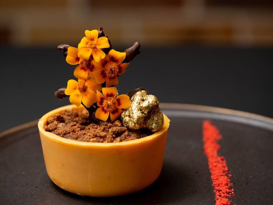 A small yellow pot containing a plant with yellow flowers and a chocolate piece on a dark surface.