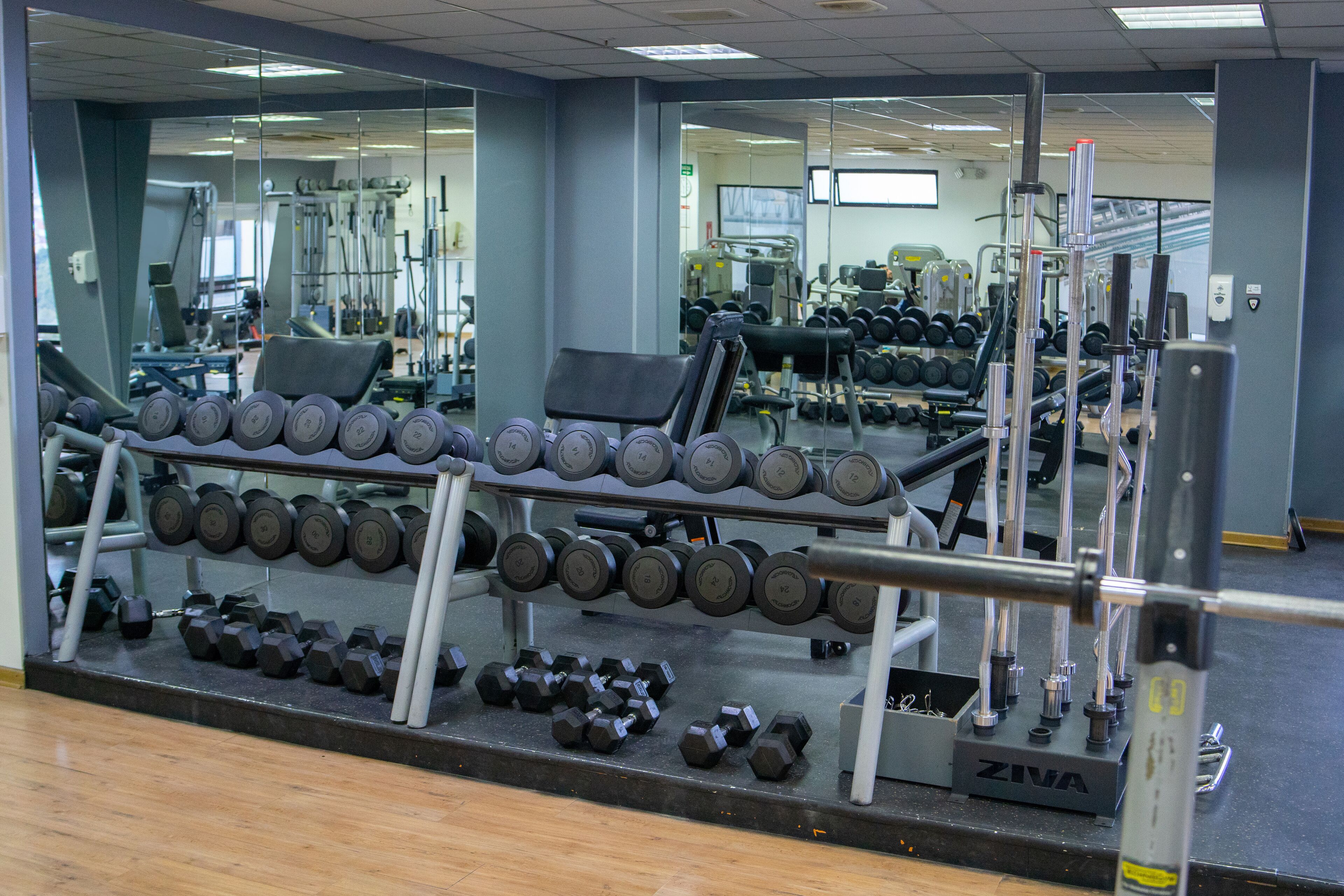 Un gimnasio con diverso equipo de ejercicio, incluyendo pesas y máquinas de musculación.