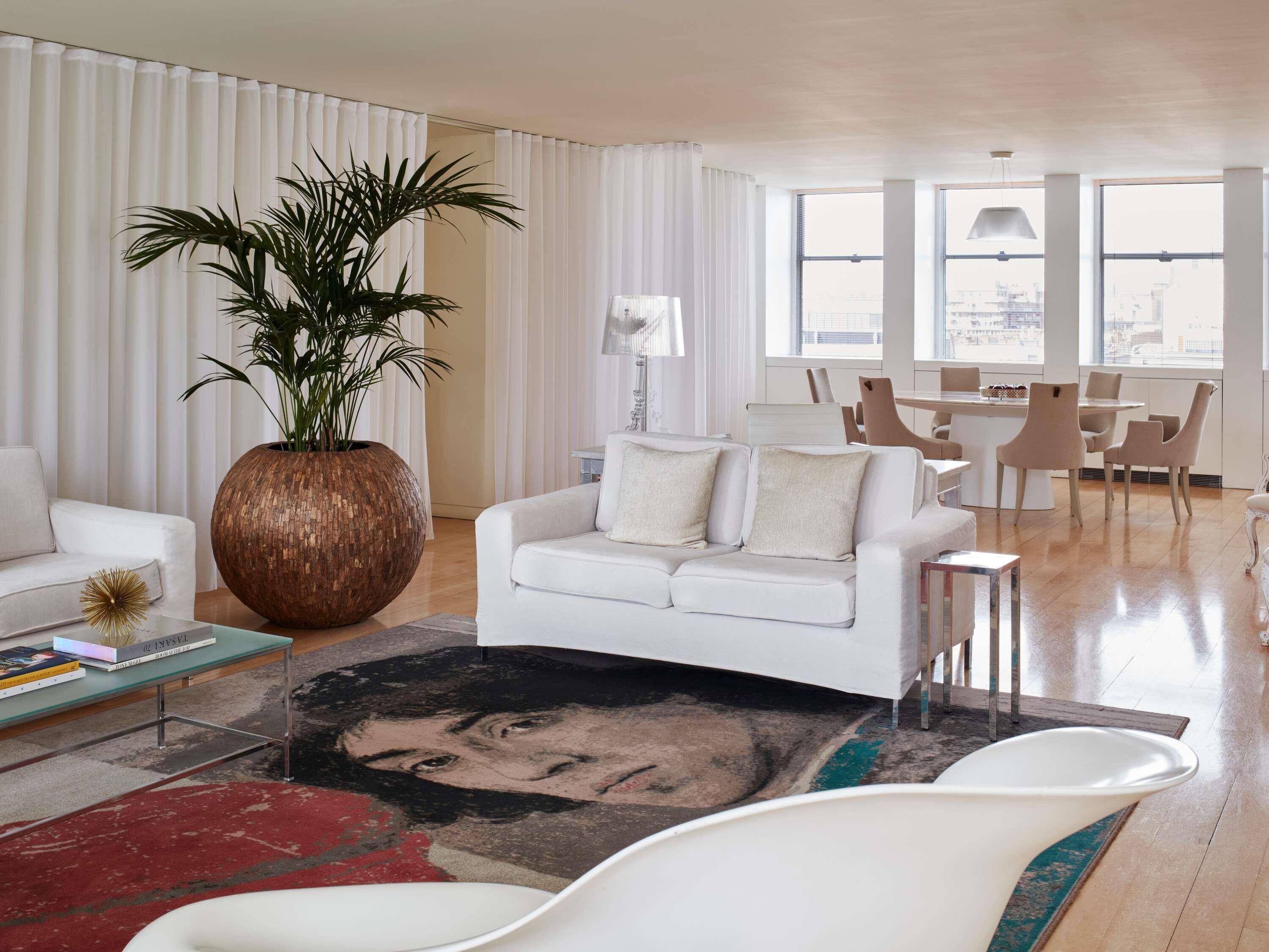 Uma sala de estar moderna com um sofá branco, uma grande planta em vaso e um tapete com borda vermelha.