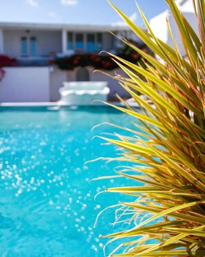 Outdoor pool, open 7:00 AM to 6:00 PM, pool umbrellas, sun loungers