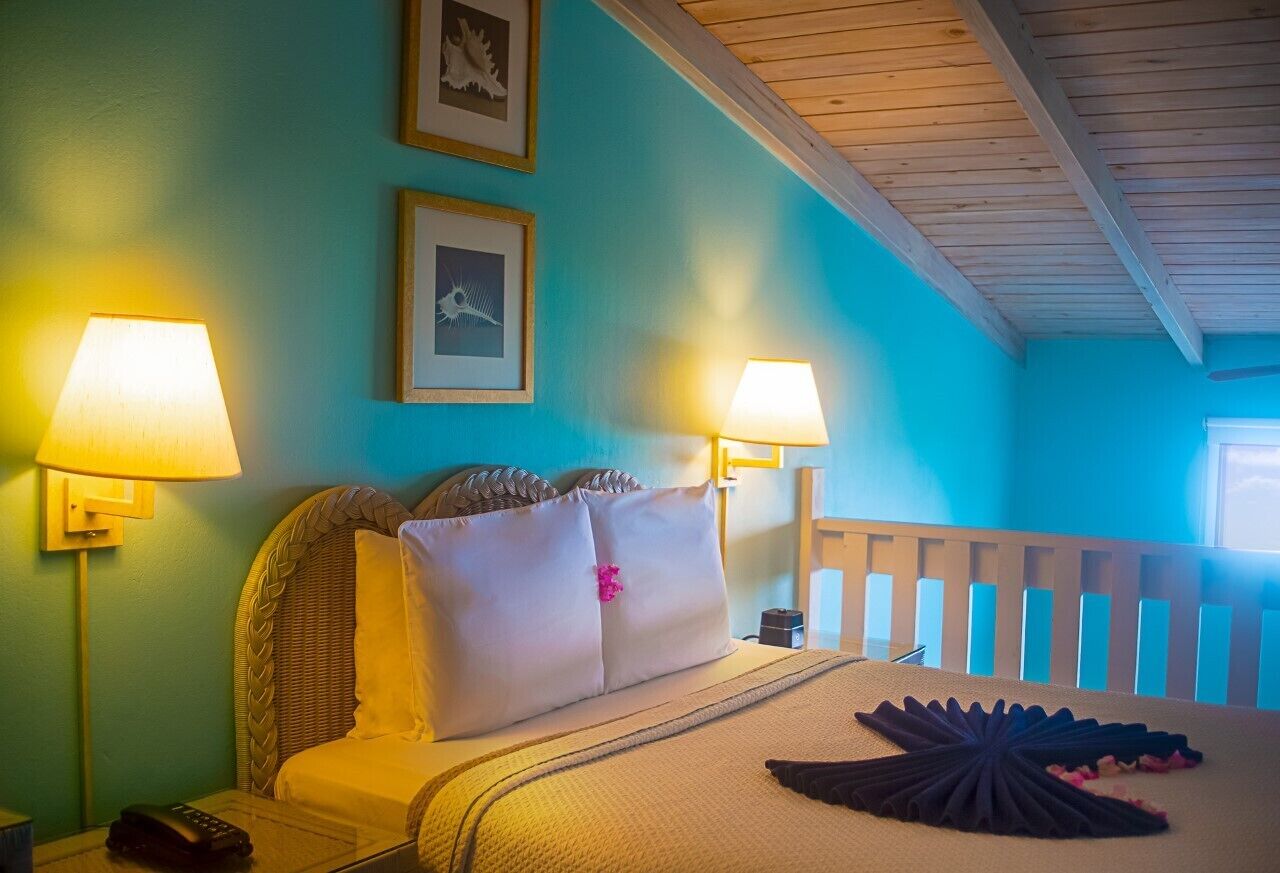 Duplex | View from room