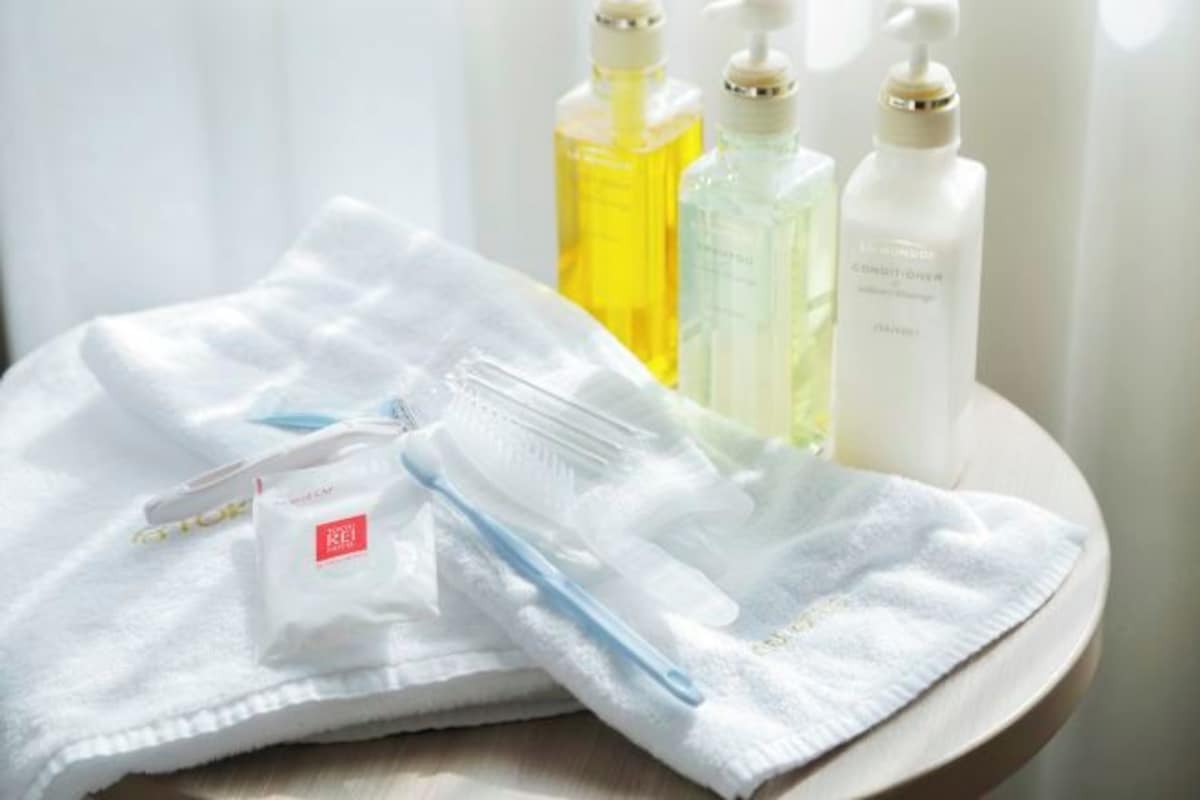 Ensemble baignoire-douche, articles de toilette (gratuits)