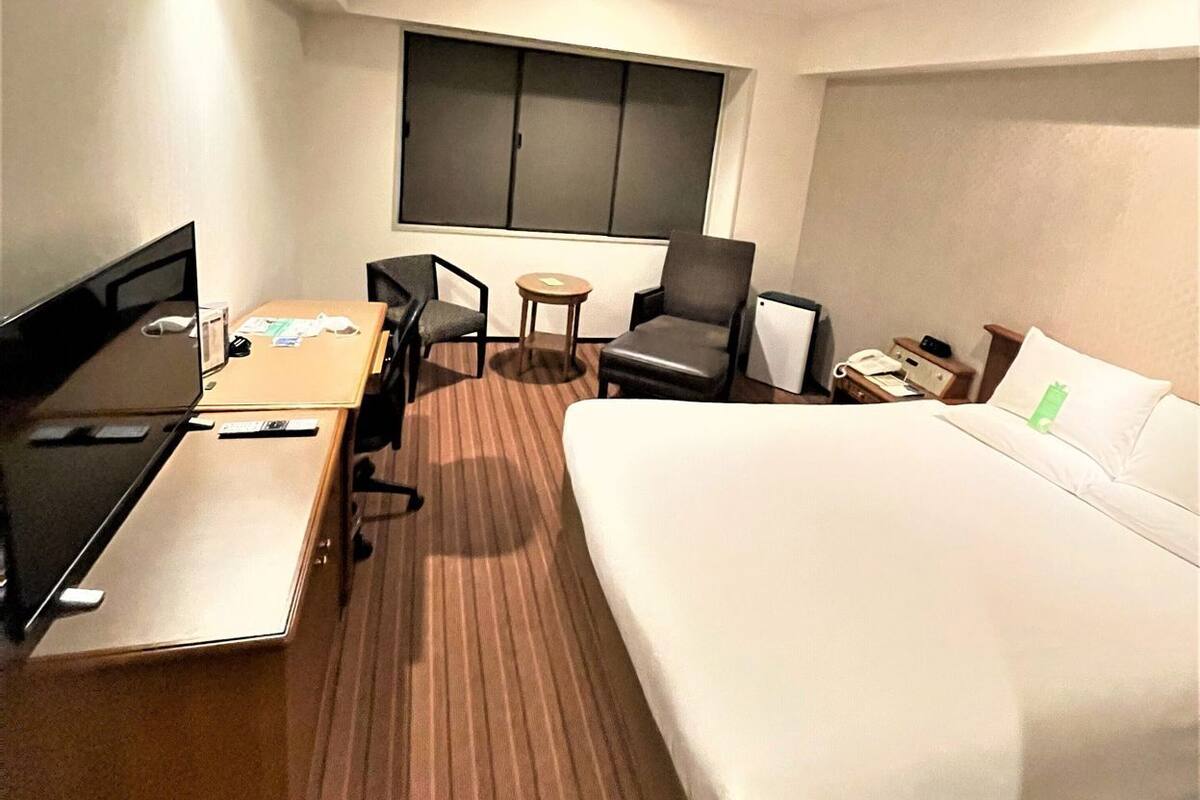 A hotel room with a bed, desk, chairs, a TV, a wardrobe, and a window.