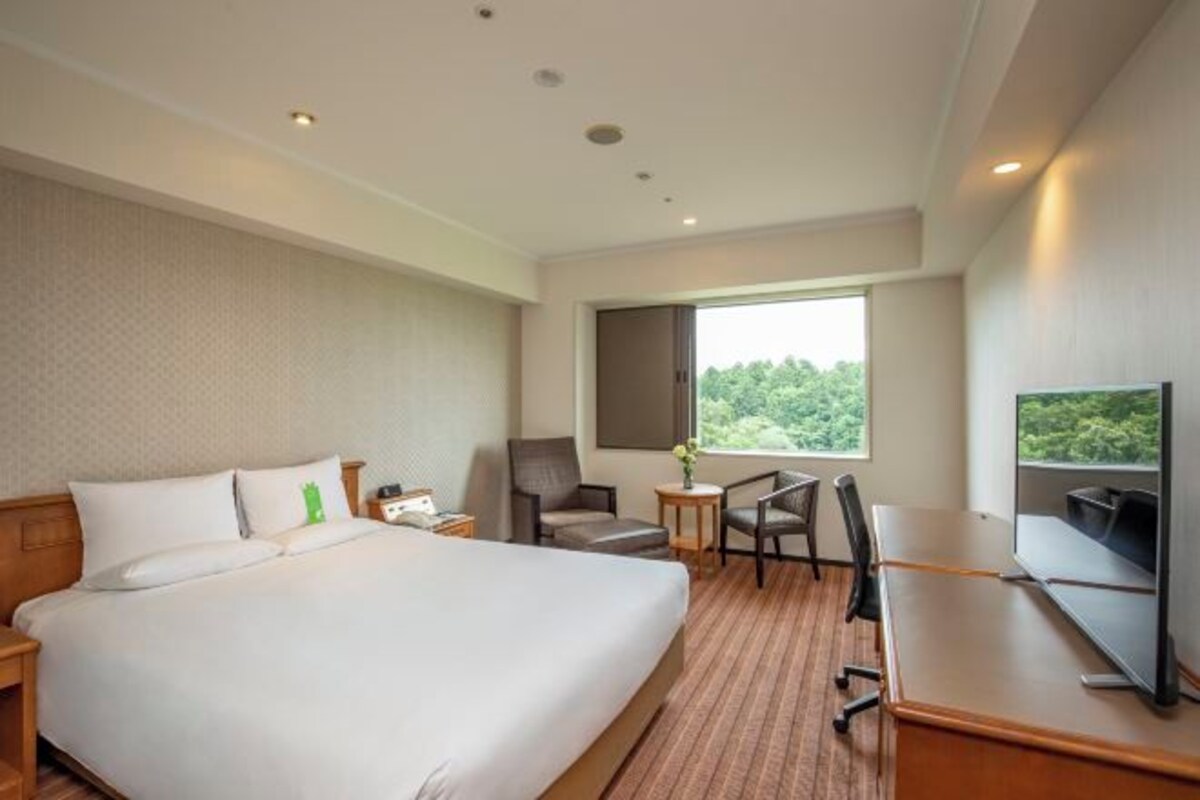 Habitación de hotel con una cama grande, un escritorio, una silla, un televisor y una ventana con vistas a árboles.