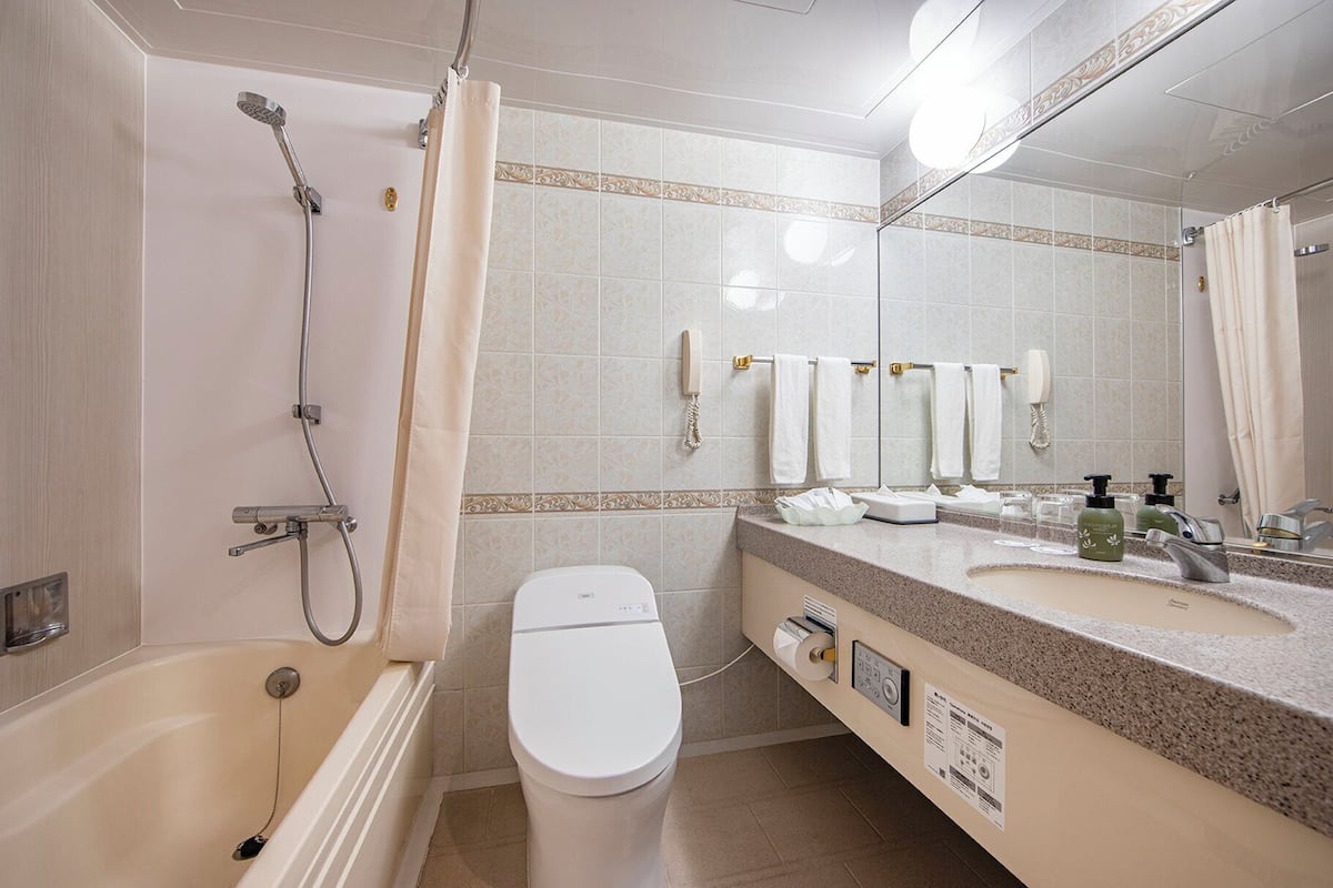 combined shower/bathtub, hair dryer, slippers, electronic bidet