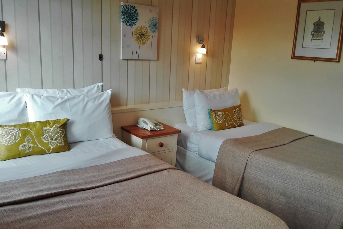 twin room, non smoking, mountain view | 1 bedroom, iron/ironing board, bed sheets, wheelchair access