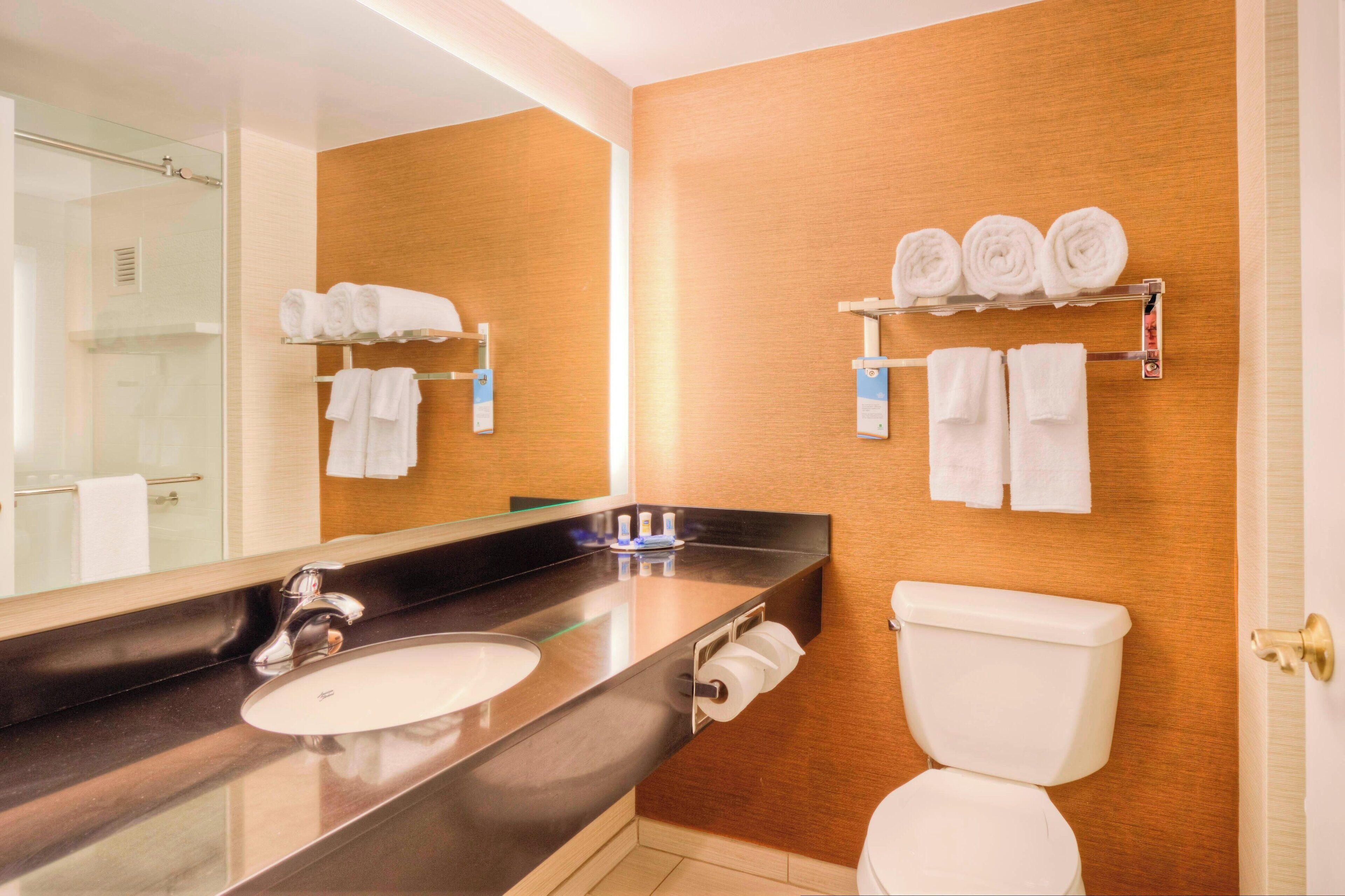 executive suite, 1 king bed with sofa bed | bathroom | free toiletries, towels