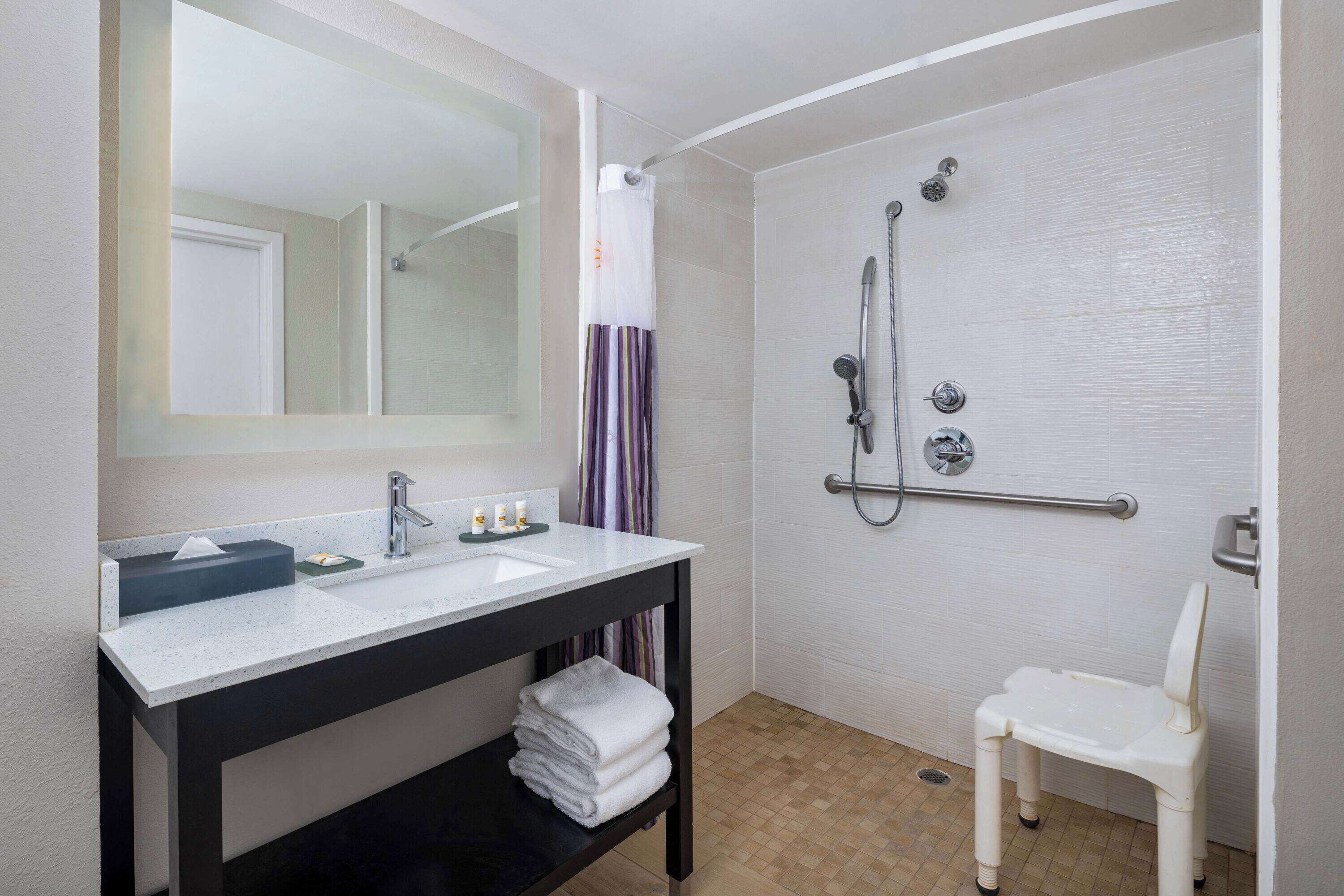 room, 1 king bed, accessible, non smoking (mobility accessible) | accessible bathroom