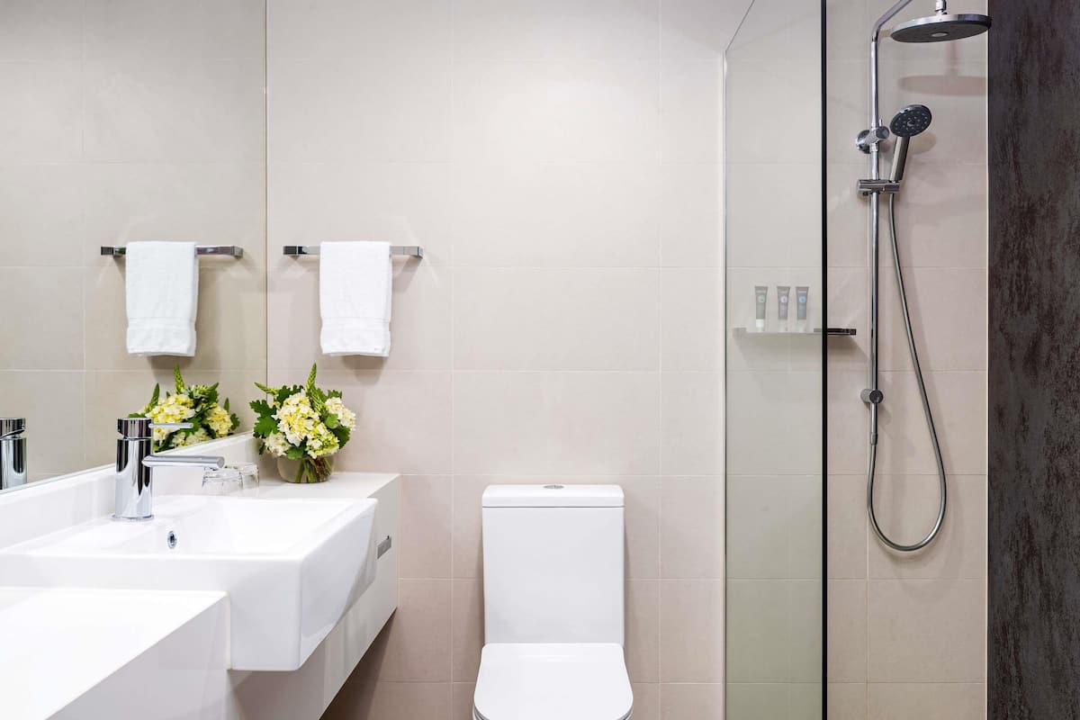 Minibar, in-room safe, desk, laptop workspace