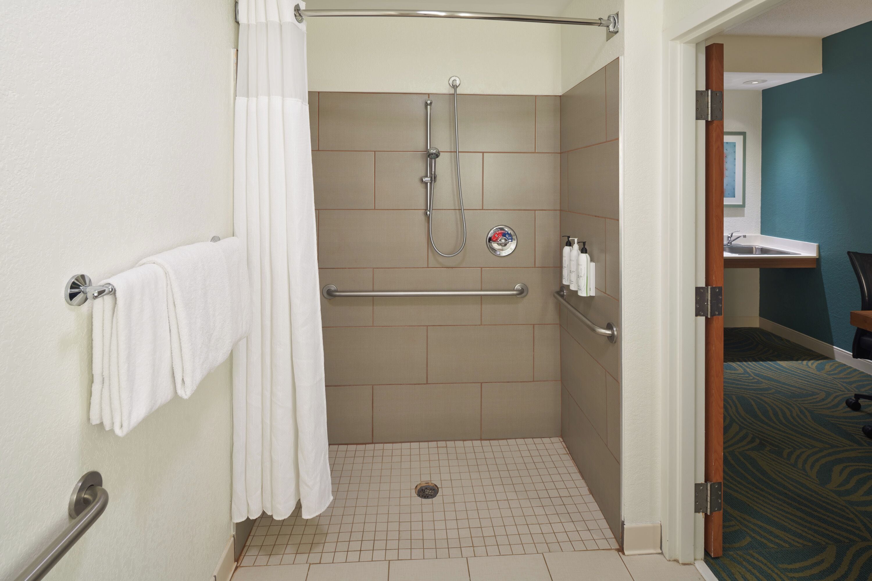 Room, 1 King Bed with Sofa bed (Mobility/Hearing Access, Roll-in Shwr) | Bathroom
