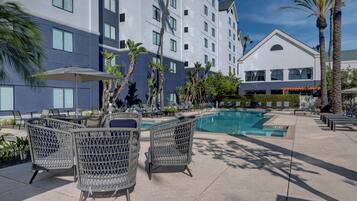 Outdoor pool, sun loungers