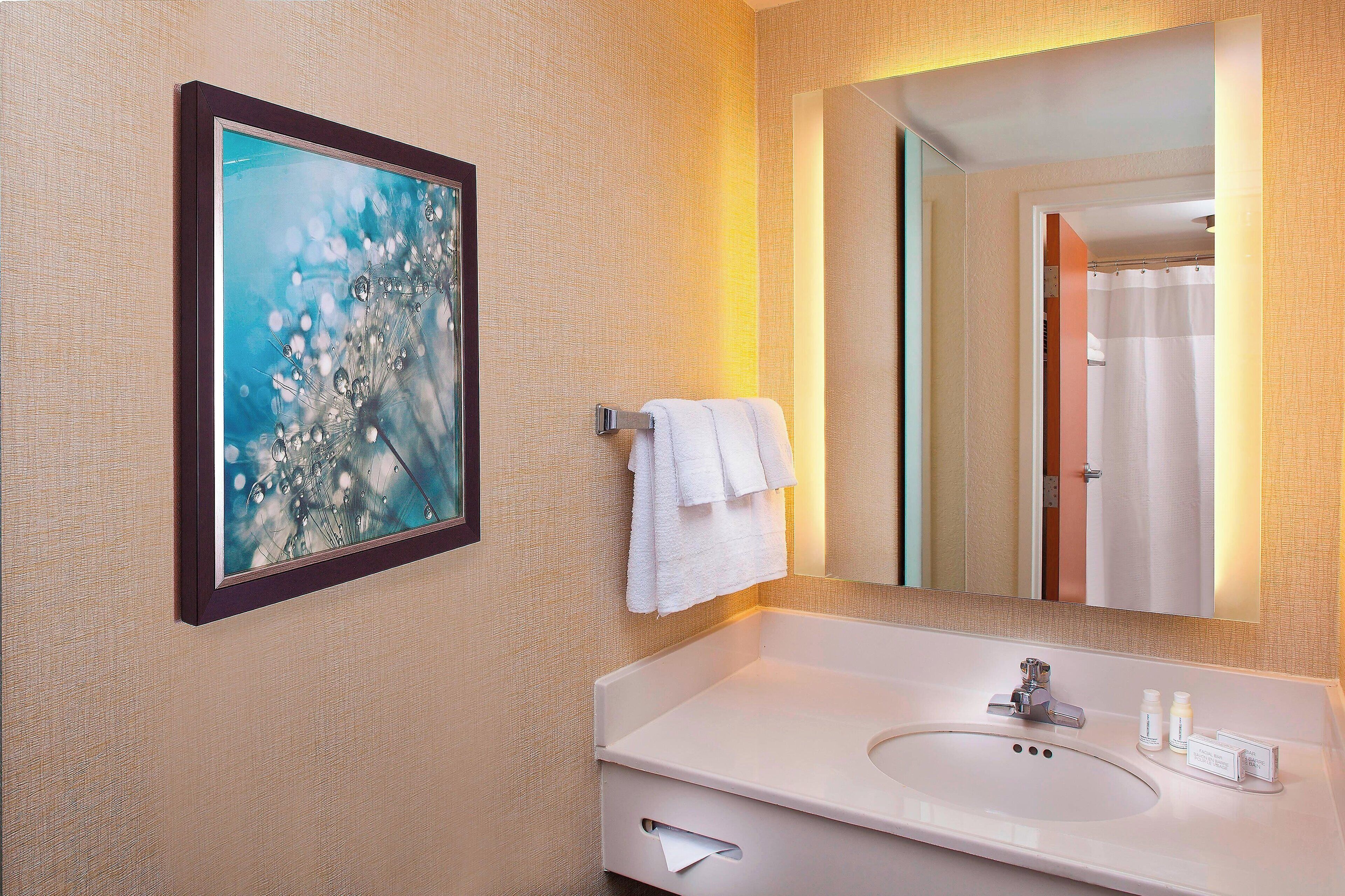 A bathroom with a white sink, a framed artwork, and a mirror reflecting a shower area.