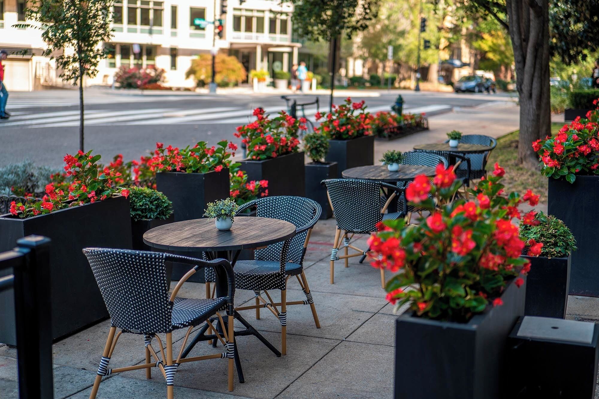 Foto - Eurostars St Gregory Dupont Circle Georgetown