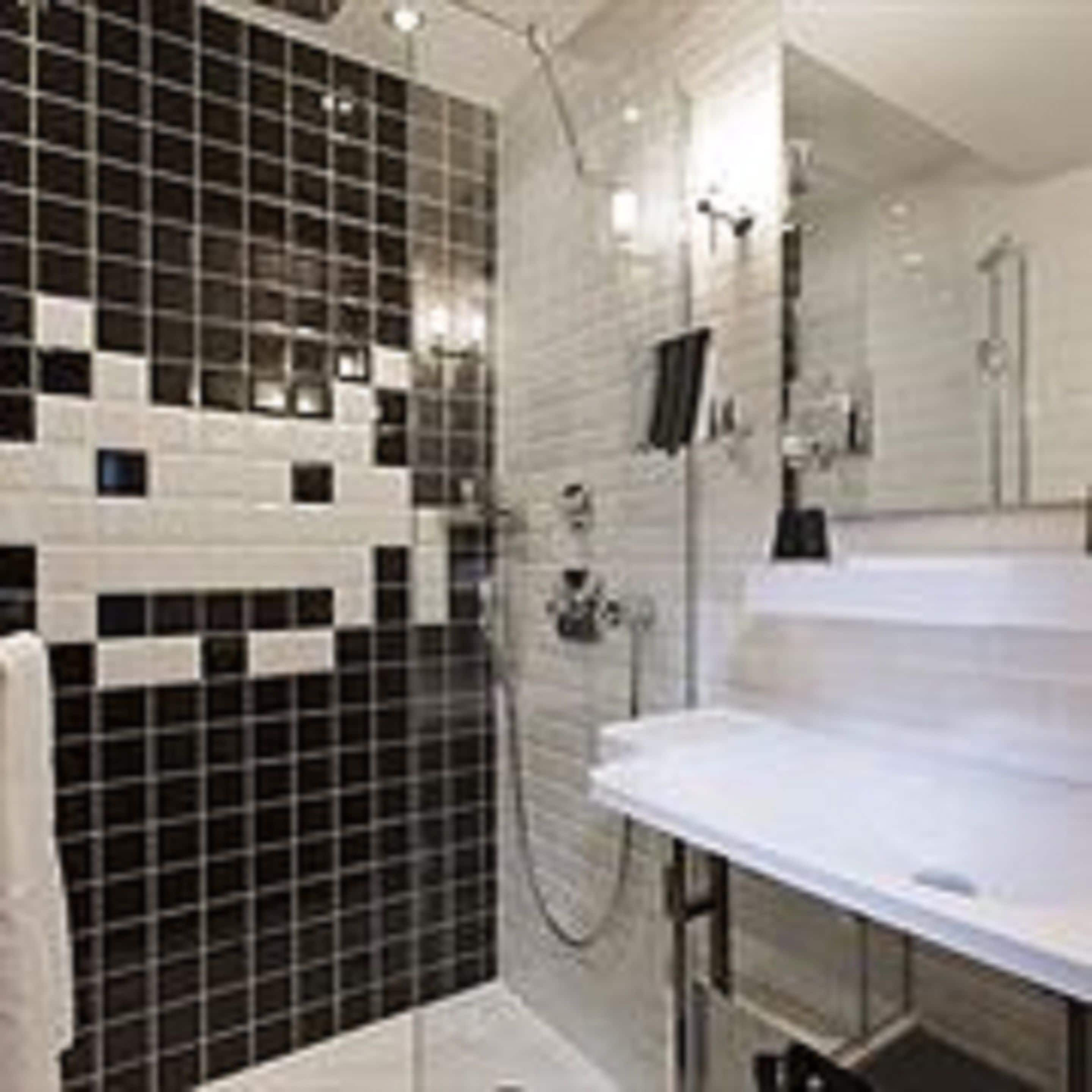classic double room | bathroom shower