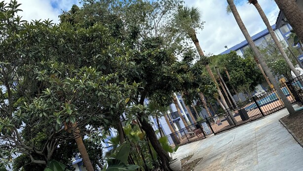A pathway lined with palm trees and tropical plants, leading to a building with a blue roof. - Closed - Monumental Movieland Hotel (Orlando)