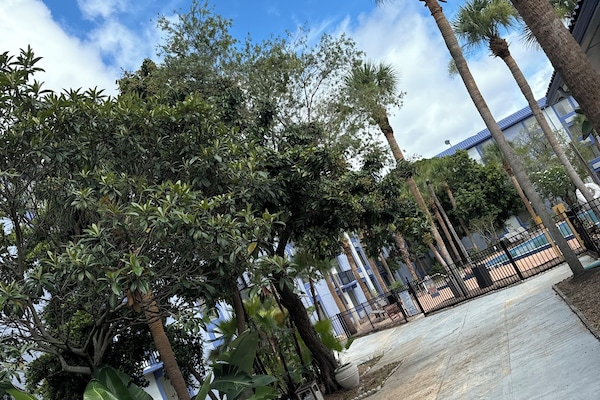 Barbecue/picknickplaats