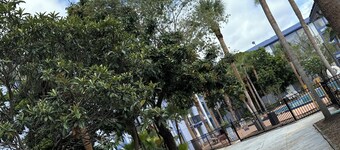 Monumental Movieland Hotel Orlando