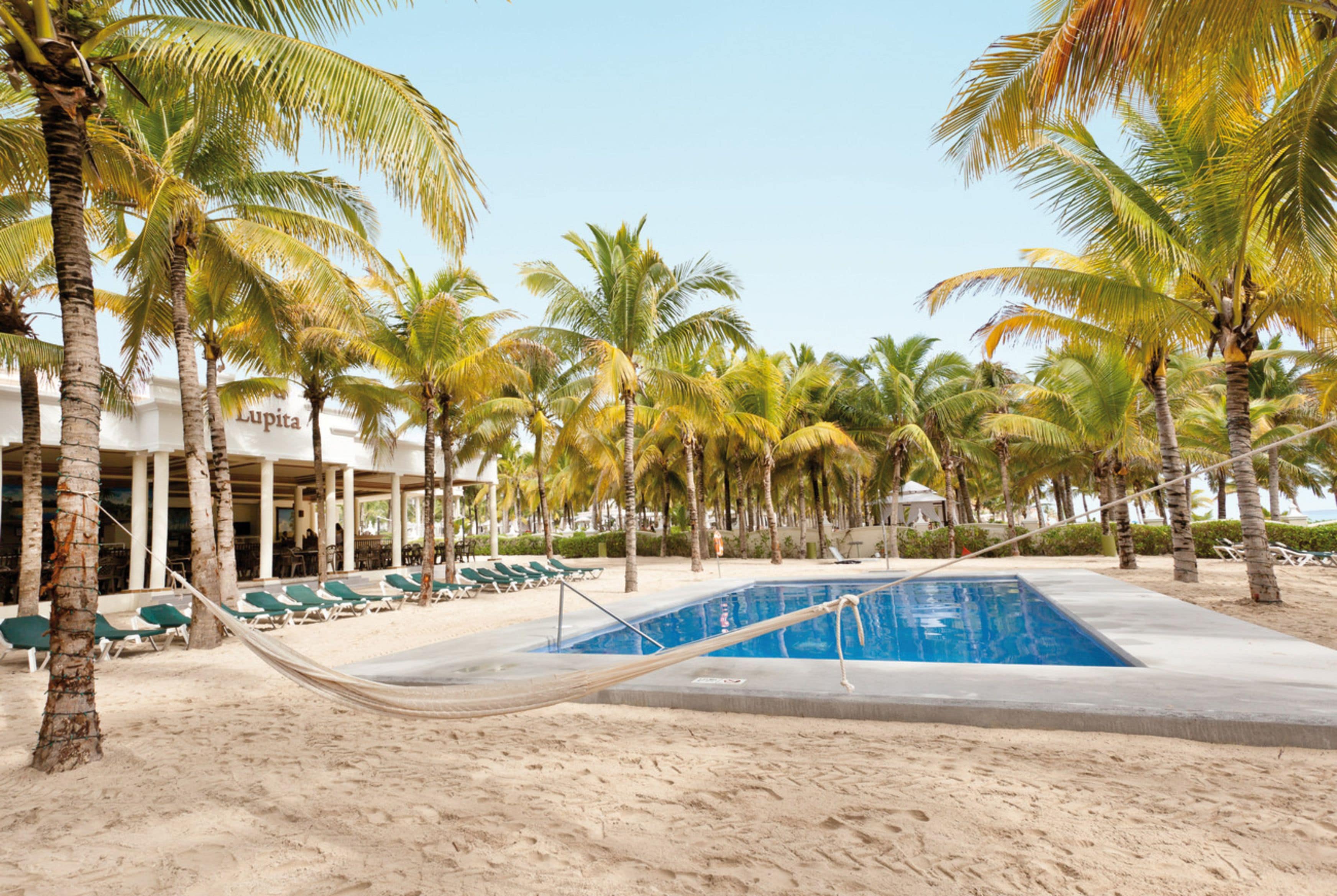 A pool area with a hammock, palm trees, and lounge chairs.