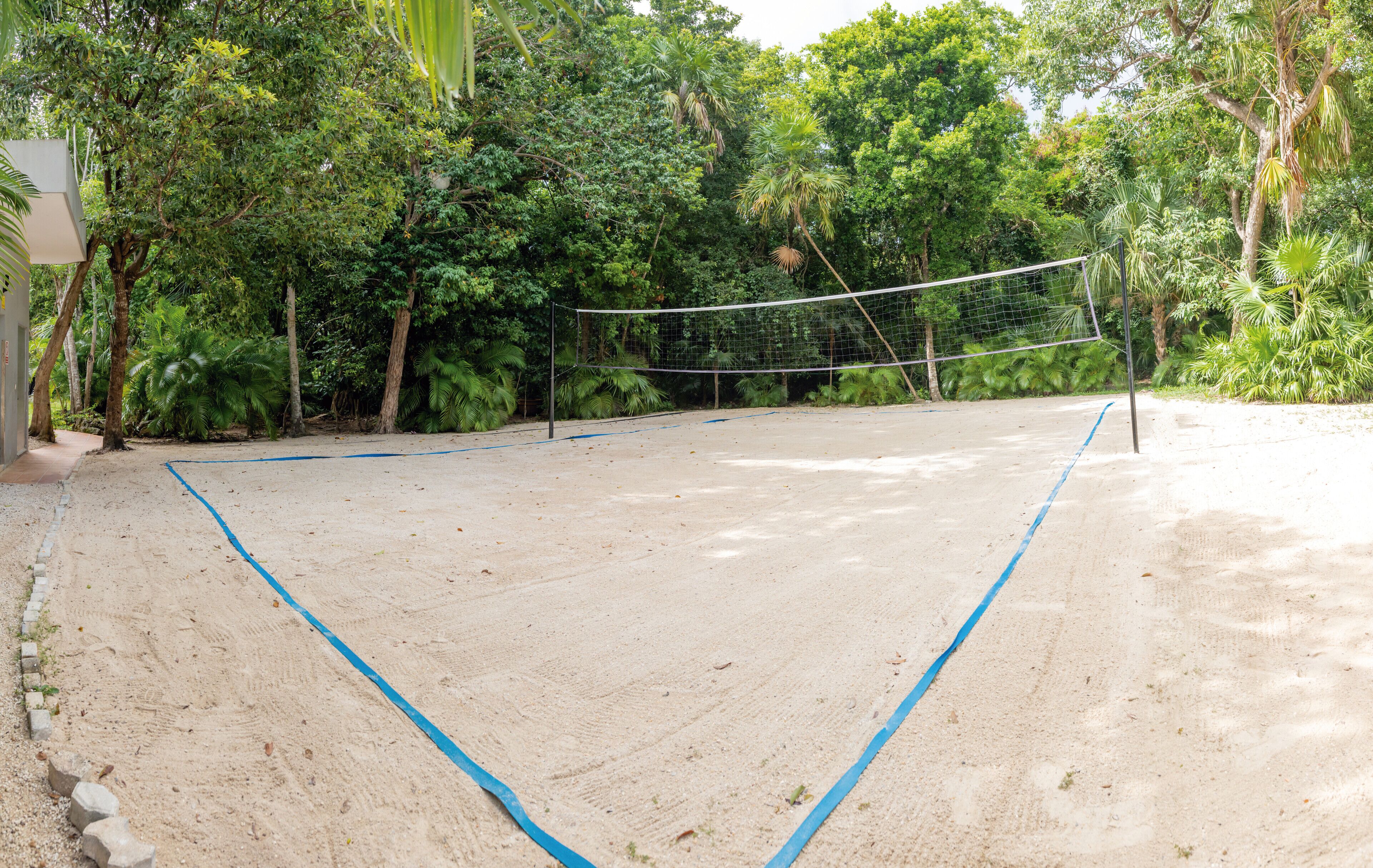 An outdoor volleyball court surrounded by dense tropical foliage.