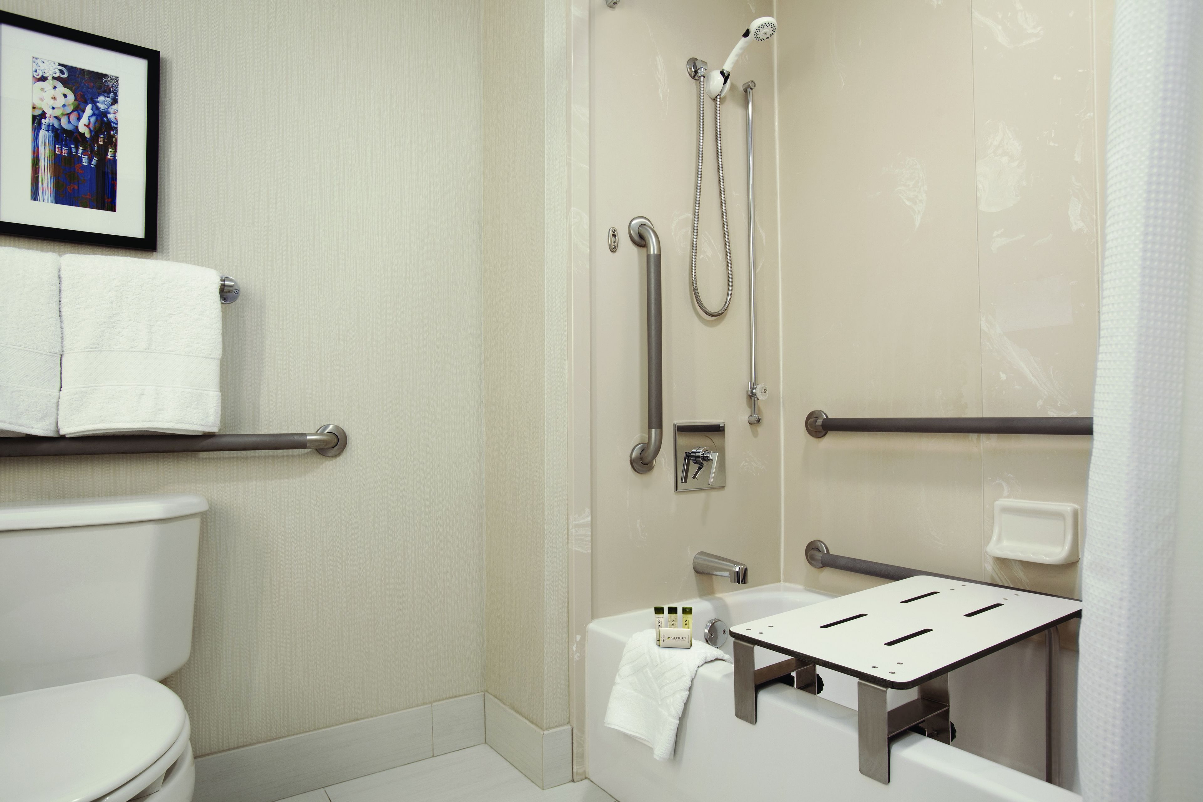 room, 1 king bed, accessible, non smoking | bathroom shower