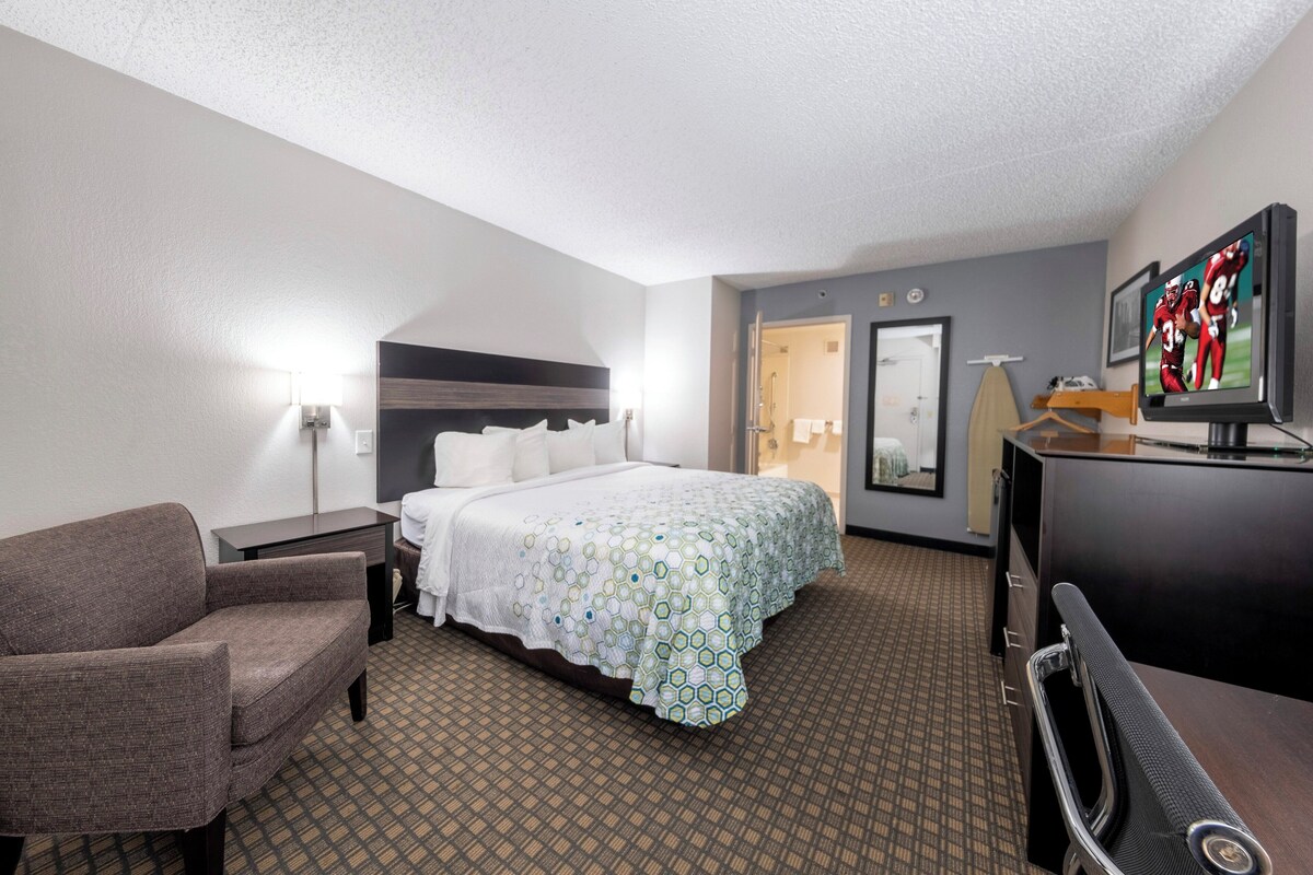Une chambre d’hôtel avec un lit, une chaise, un bureau, une télévision et un miroir.