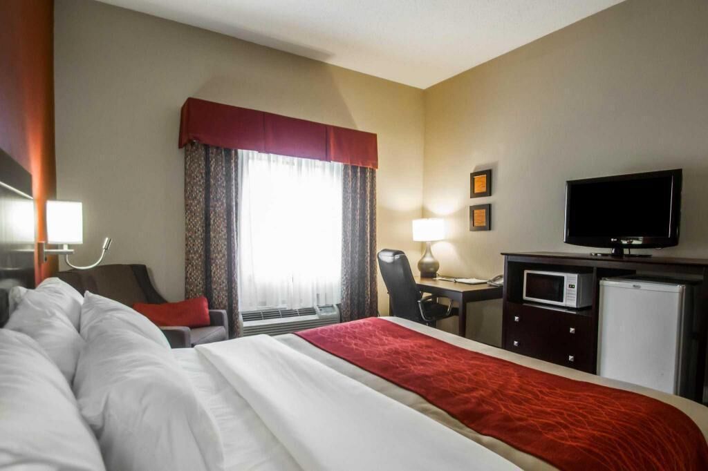 Premium bedding, down duvets, Select Comfort beds