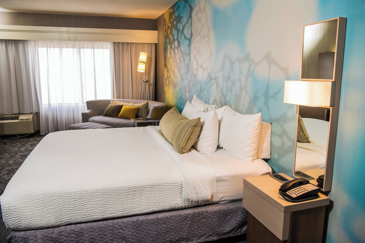 room, 1 king bed, non smoking | 1 bedroom, premium bedding, desk, iron/ironing board