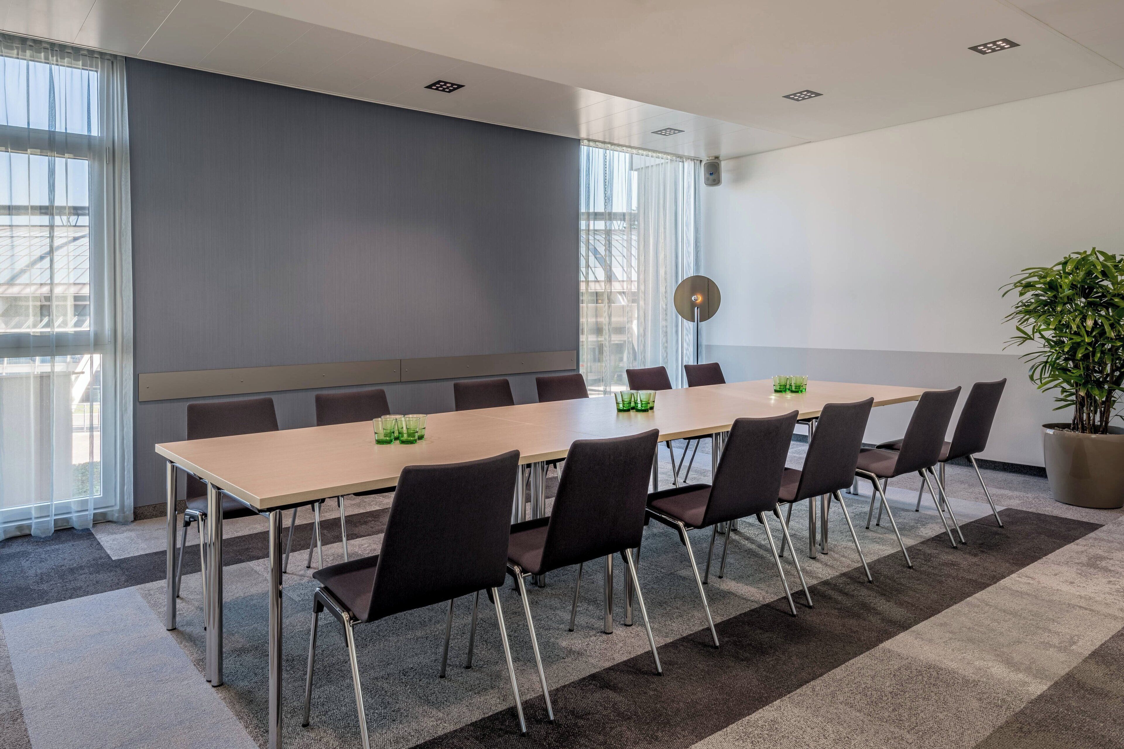A conference room with a long table, chairs, a plant, and a large window.