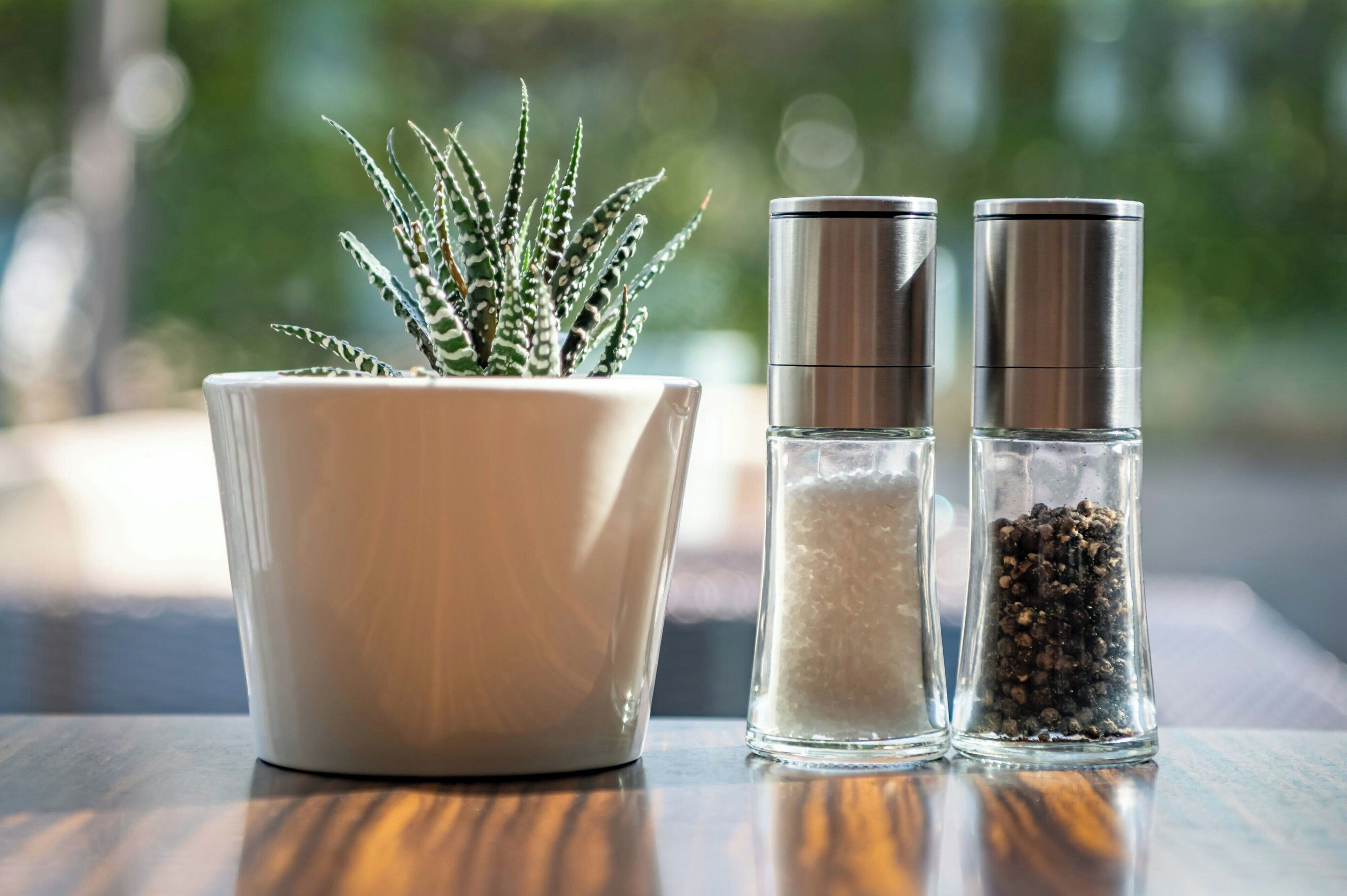 A potted plant, two salt shakers, and a blurred outdoor background.