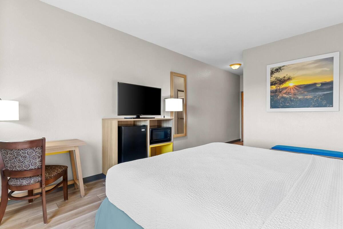 Habitación de hotel con una cama, un escritorio con televisor, una silla, un microondas y un cuadro de un atardecer.