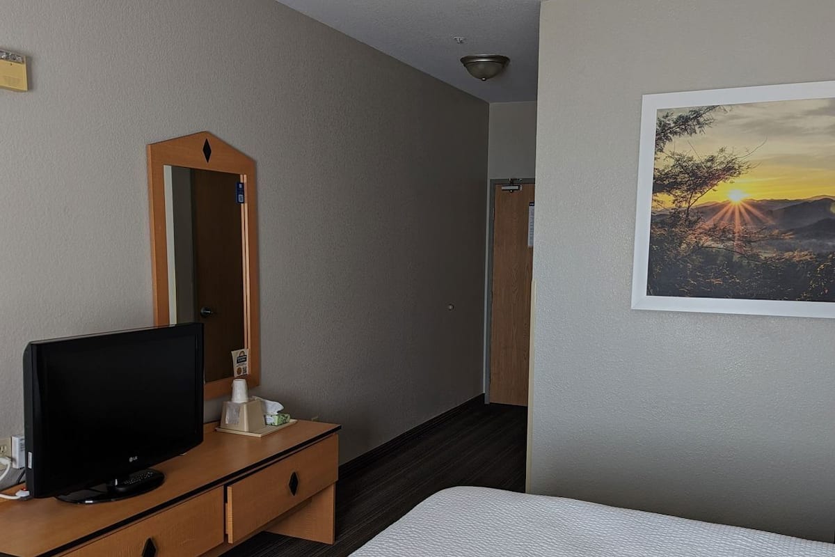 Cortinas blackout, tabla de planchar con plancha y cunas gratuitas