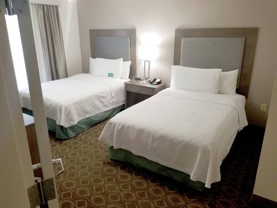 A hotel room with two beds, a nightstand, a lamp, and a patterned carpet.