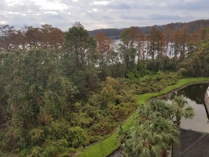 A lush landscape with dense foliage, a curved water feature, and a distant view of a hill with trees and a tower.