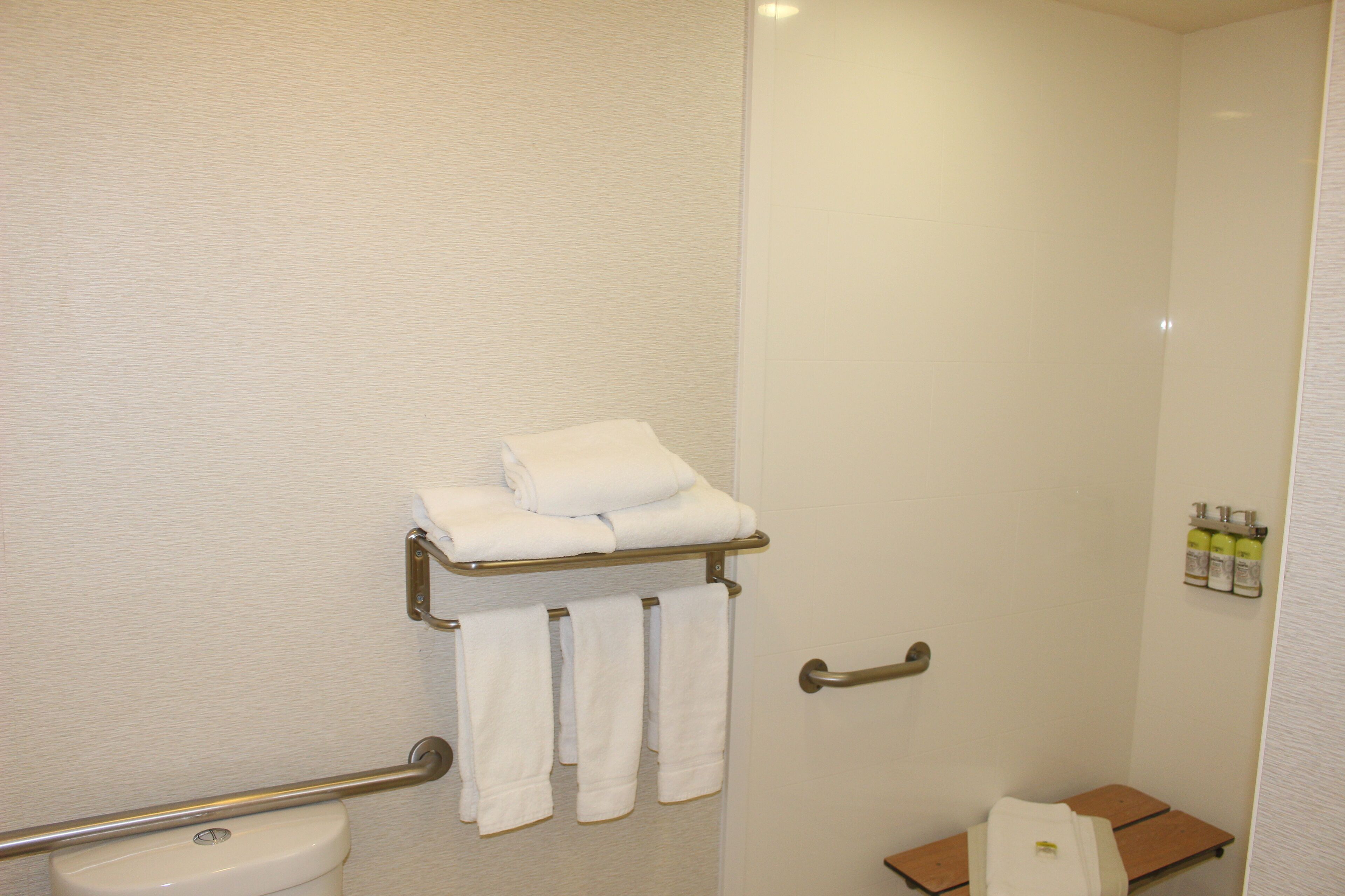 Un baño con cabina de ducha de vidrio, un perchero con toallas dobladas, un inodoro y un pequeño estante con artículos de aseo.