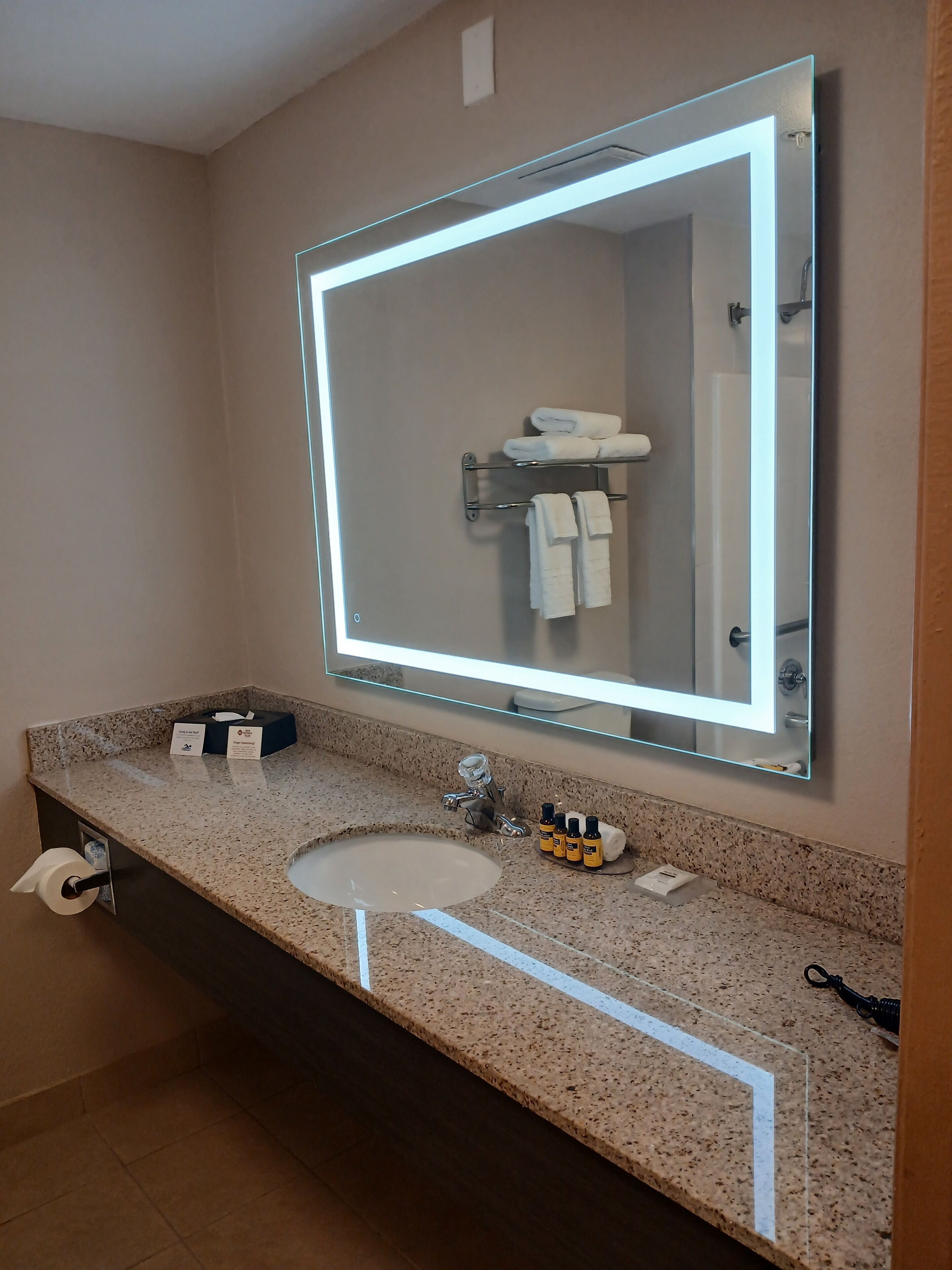 Combined shower/tub, free toiletries, hair dryer, towels