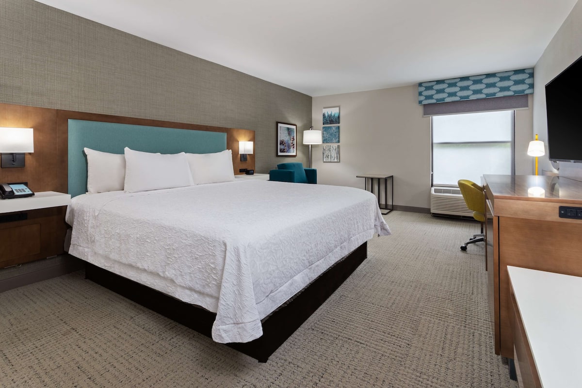 A hotel room with a large bed, a desk, a chair, a TV, and a window with a view.