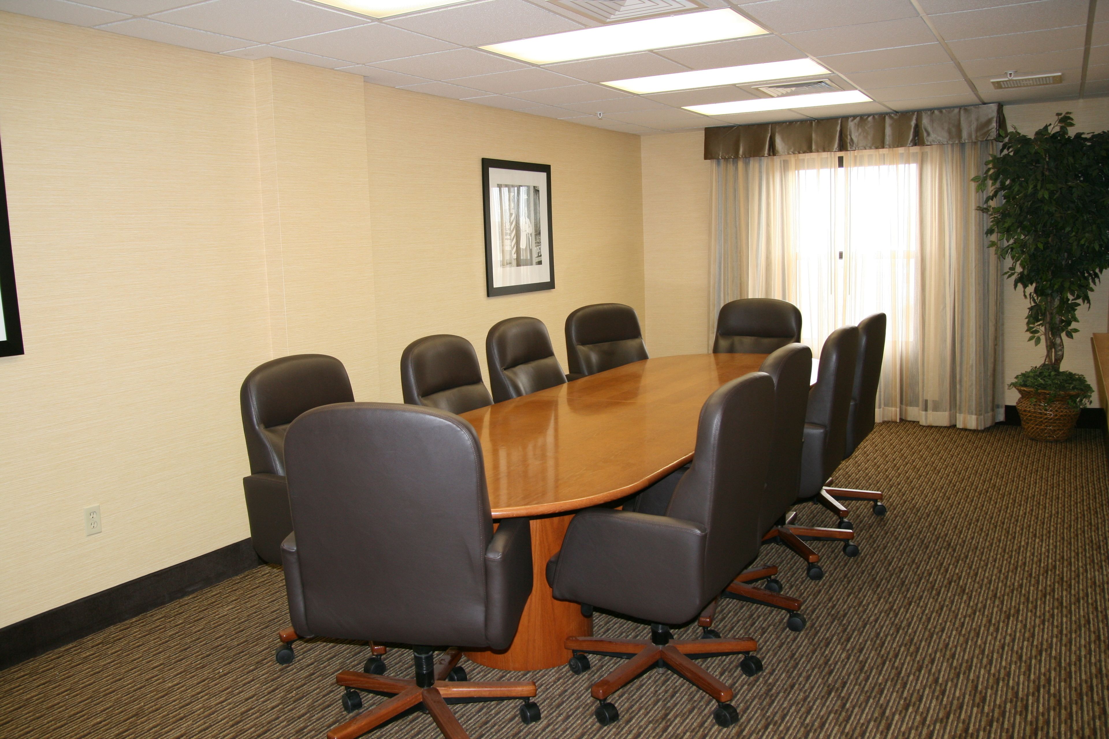 A conference room with a large table surrounded by chairs, a framed picture on the wall, and a potted plant near the window.