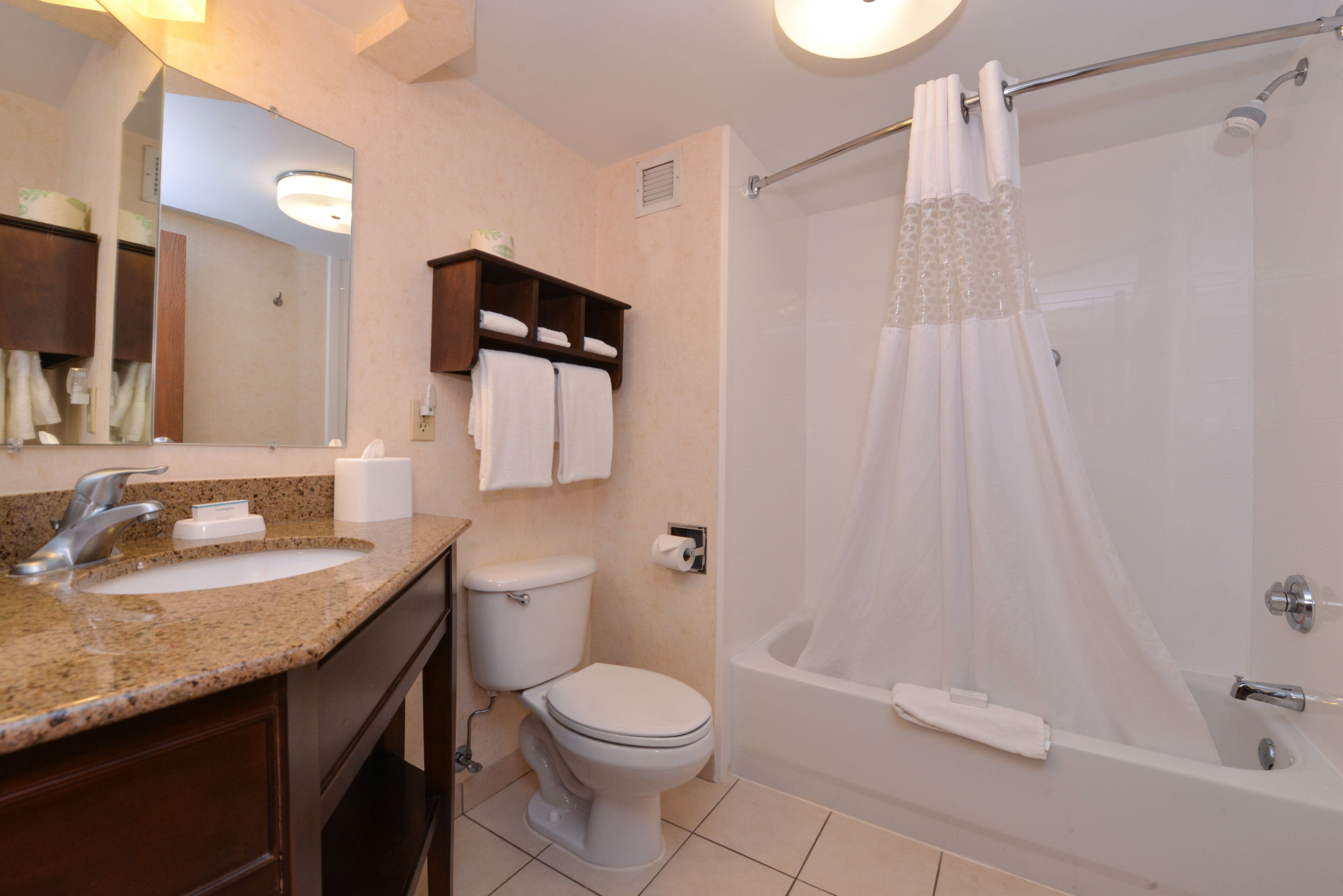 combined shower/bathtub, free toiletries, hair dryer, towels