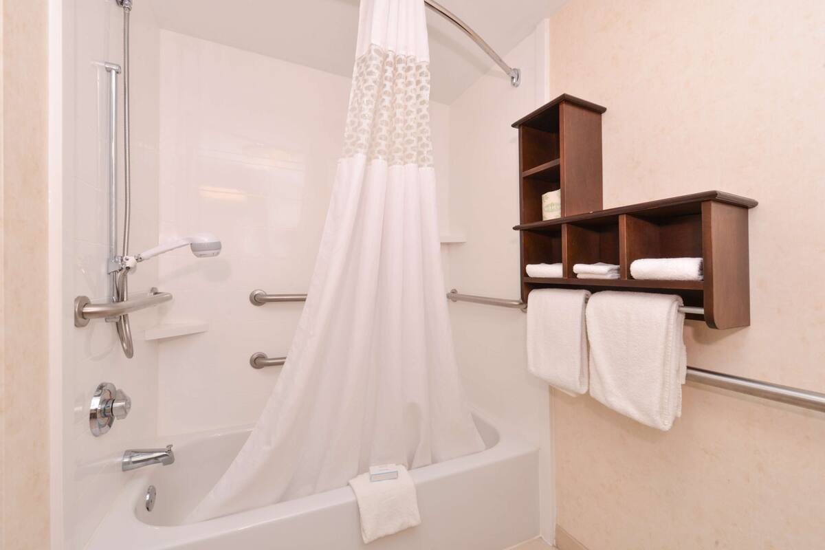 combined shower/bathtub, free toiletries, hair dryer, towels