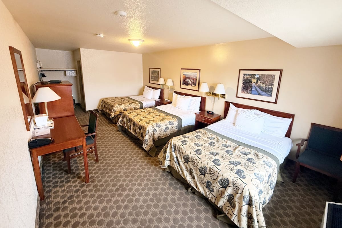 Deluxe Triple Room, Multiple Beds, Non Smoking | Premium bedding, desk, blackout drapes, iron/ironing board