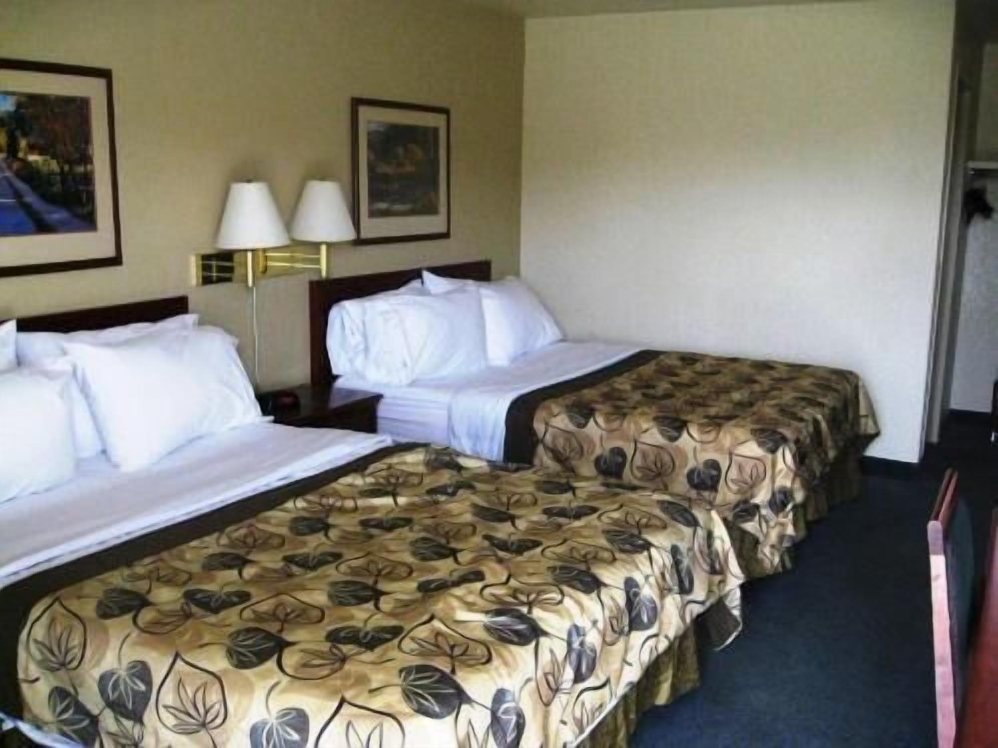 Ropa de cama de alta calidad, escritorio y cortinas blackout 
