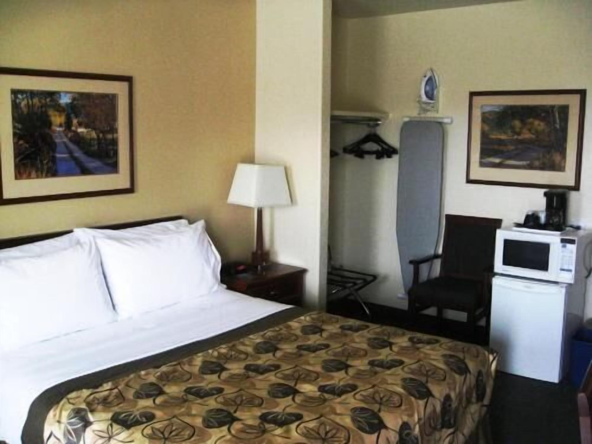 Ropa de cama de alta calidad, escritorio y cortinas blackout 