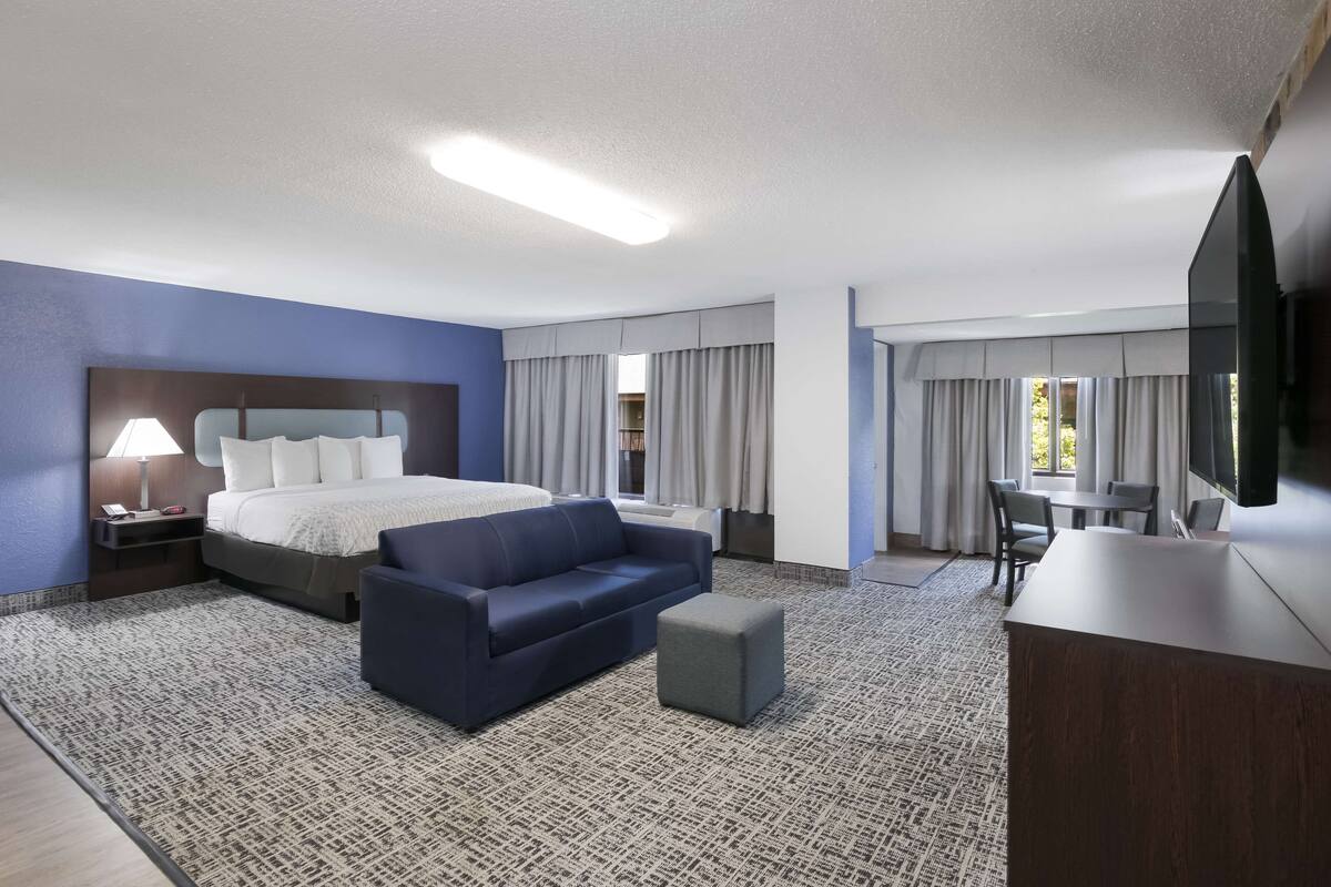 Une chambre d’hôtel avec un lit, un canapé, un bureau et une télévision.
