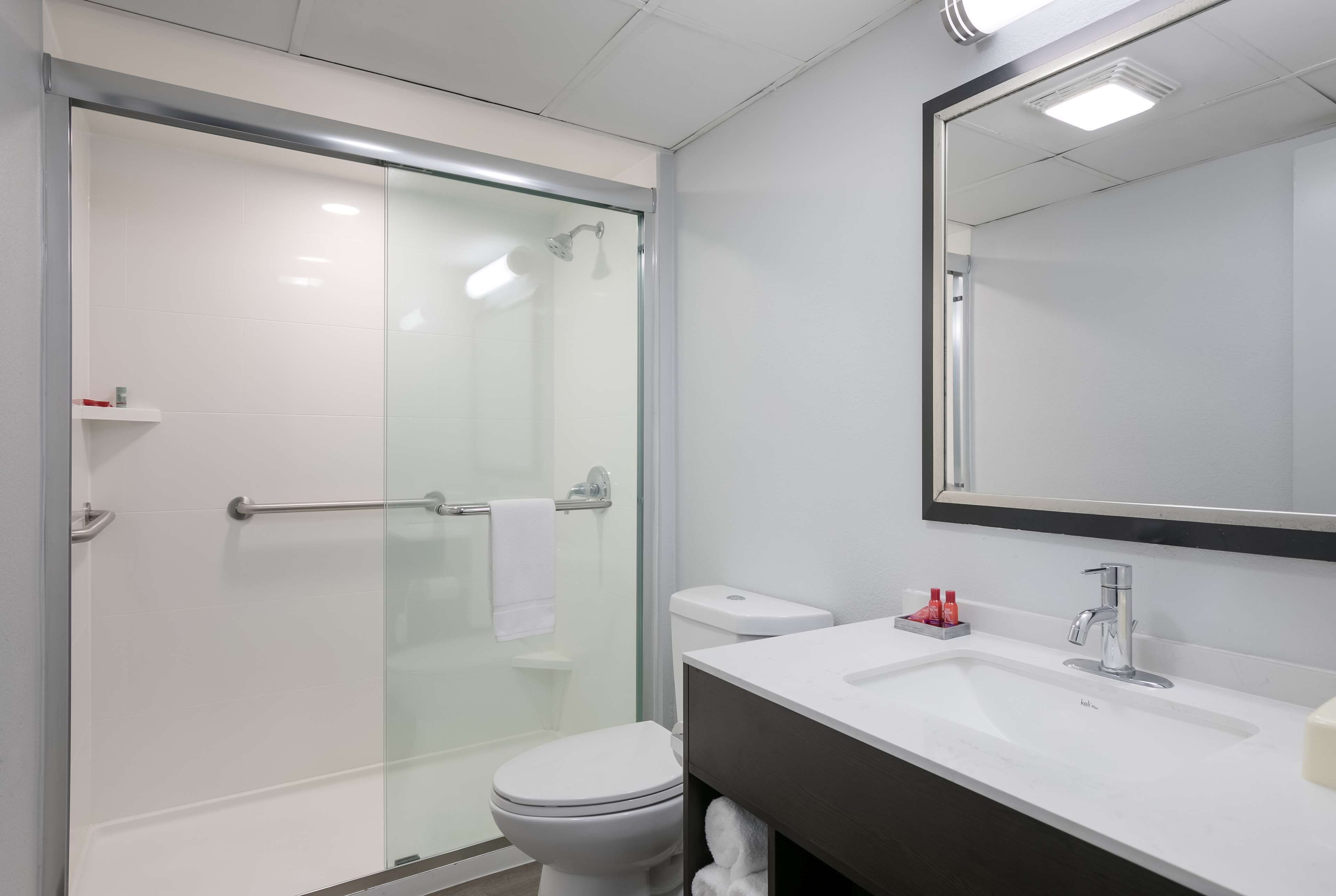 A modern bathroom with a glass shower enclosure, a white toilet, and a vanity with a mirror.