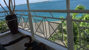 A covered outdoor area with a view of the sea, a potted plant, and a chair. - Saint John Perse (Pointe-à-Pitre)